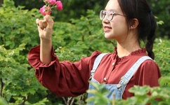 WINDOWSCHANNEL国产APP